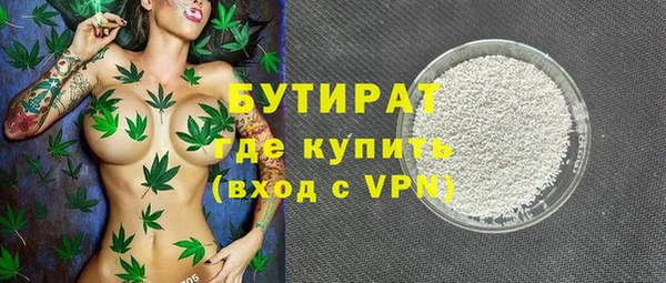 дмт Богданович