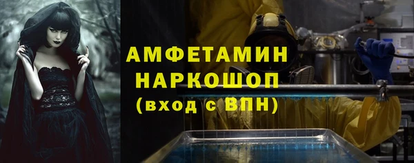 дмт Богданович