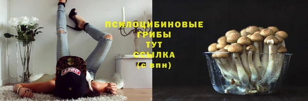 ECSTASY Богородицк