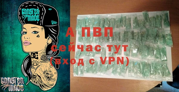 ECSTASY Богородицк