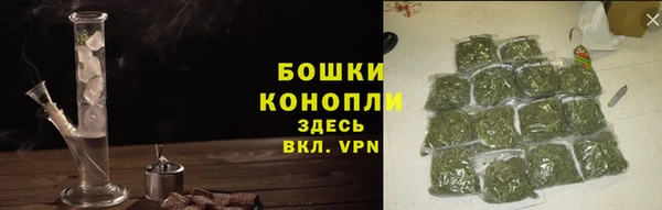 ECSTASY Богородицк