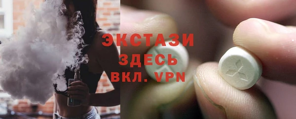 ECSTASY Богородицк