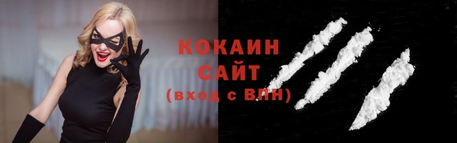 дмт Богданович