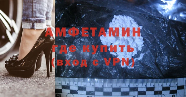 дмт Богданович