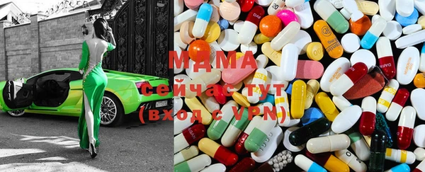 дмт Богданович