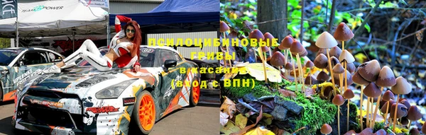 дмт Богданович