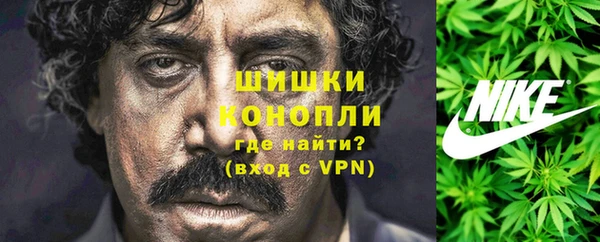 шишки Богородск