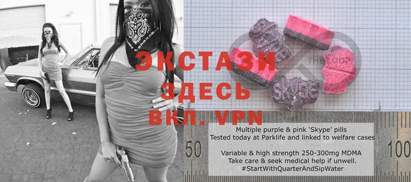 ECSTASY Богородицк