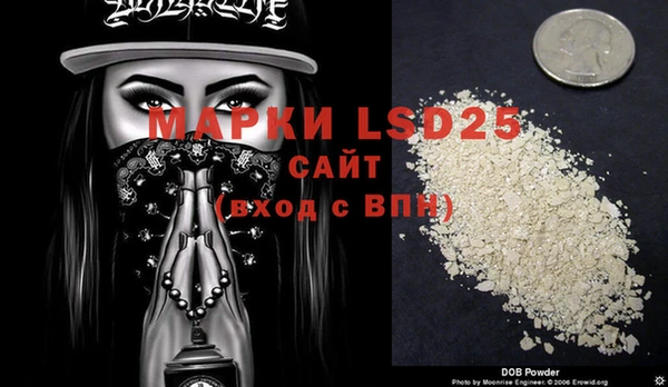 ECSTASY Богородицк