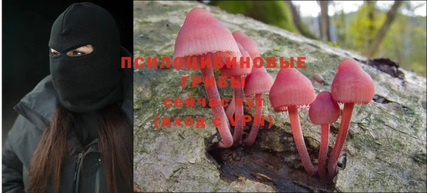 ECSTASY Богородицк