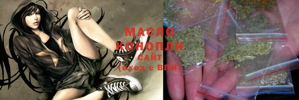 дмт Богданович